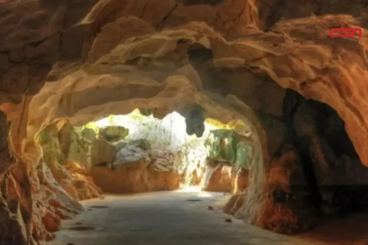 Protección Cuevas del Pomier