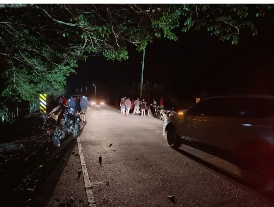 Accidente motocicleta vaca Sabana de la Mar