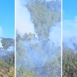incendio forestal Constanza bomberos humareda"