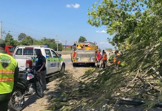 Accidente camión La Vega muerto herido