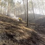 bombero forestal herido incendio Constanza